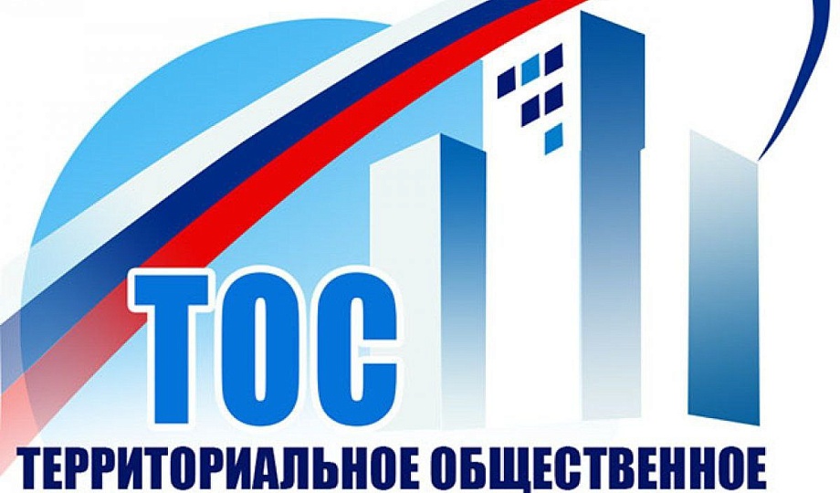 Территориальные общественные самоуправления (ТОС) в России.