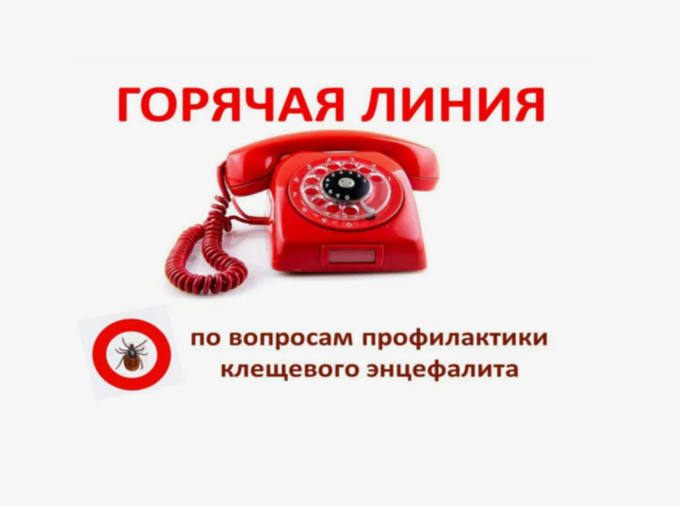 Горячая линия по профилактике клещевого вирусного энцефалита.