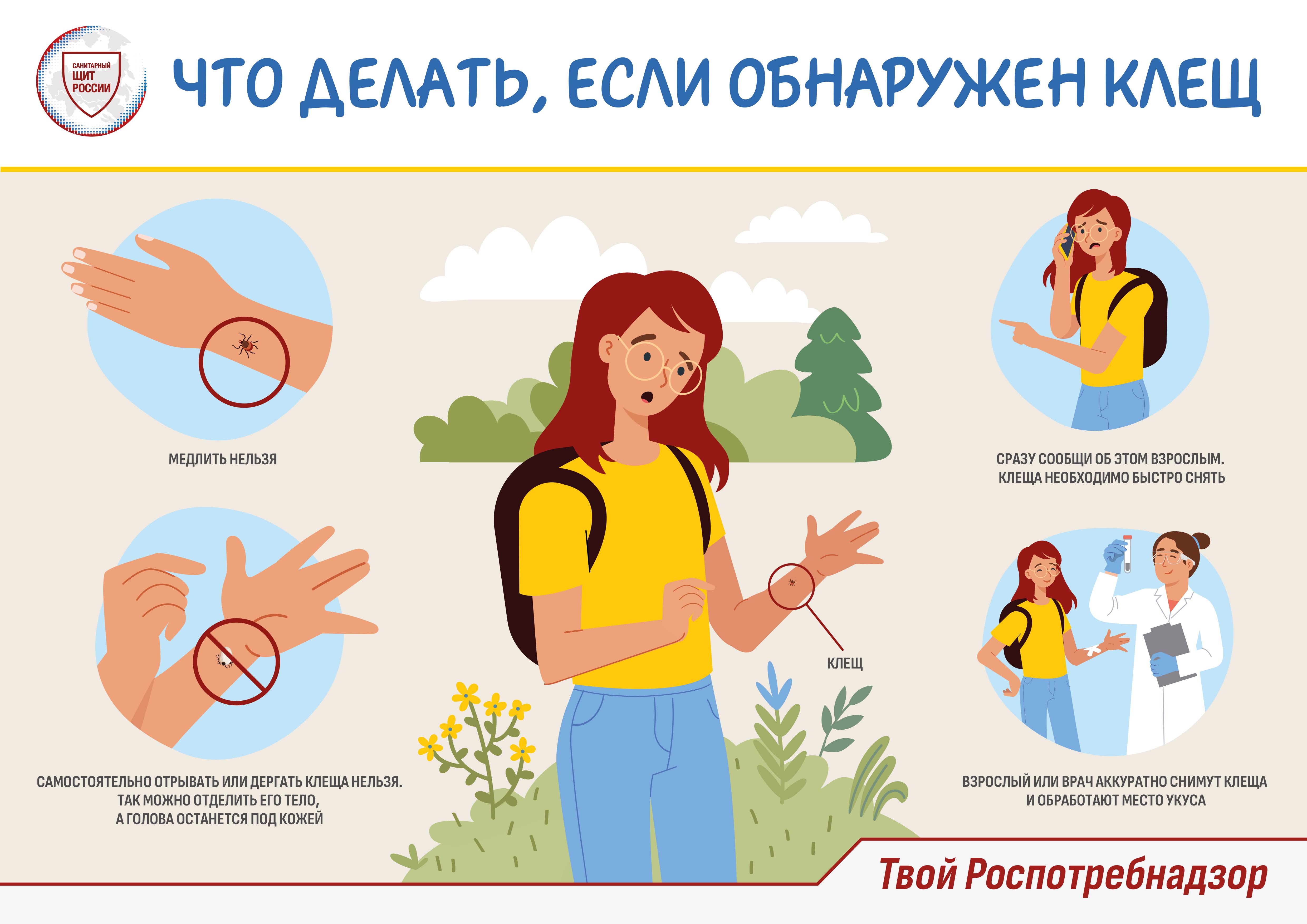 Что делать, если обнаружен клещ.