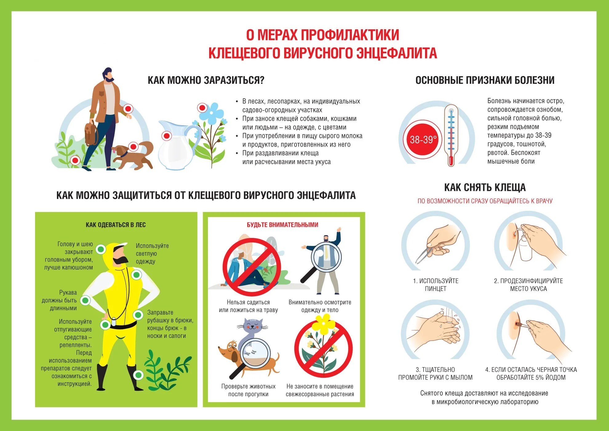 О мерах профилактики клещевого энцефалита.