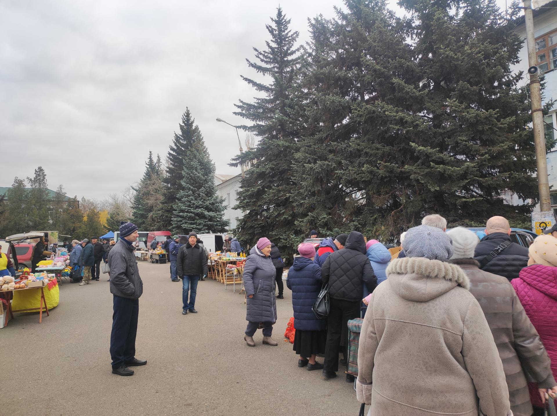 На центральной площади Докучаевска прошла ярмарка.