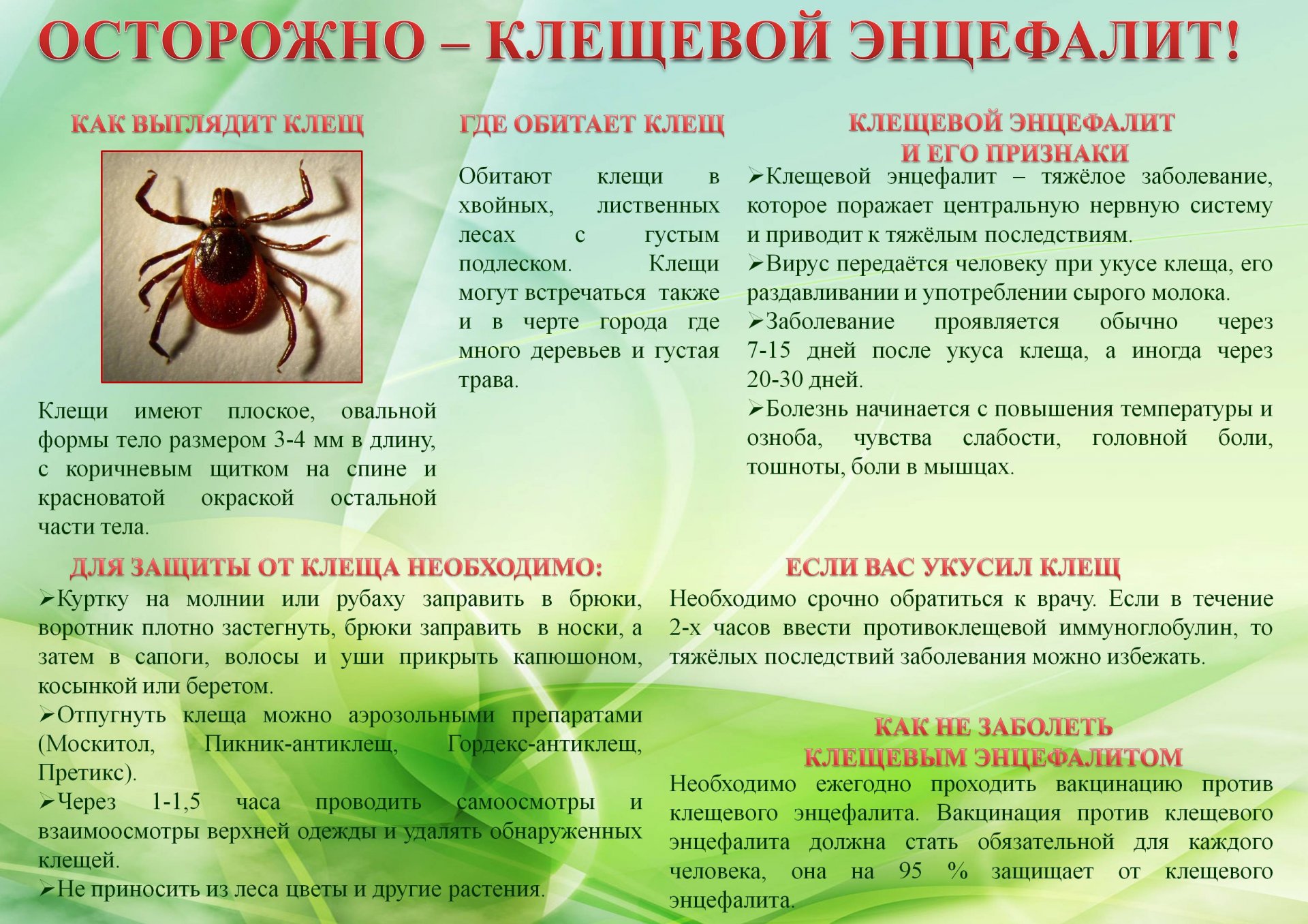 Осторожно клещевой энцефалит!.