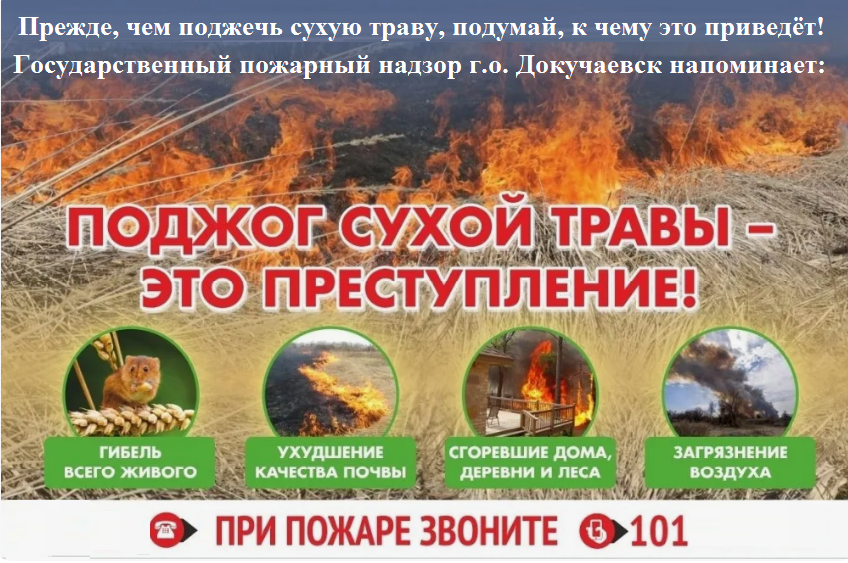 Поджог сухой травы - это преступление!.