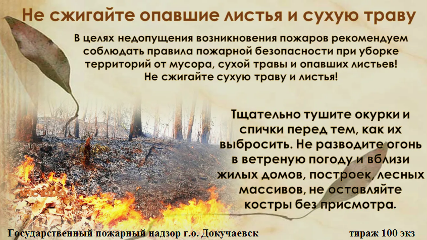 Не сжигайте опавшие листья и сухую траву.