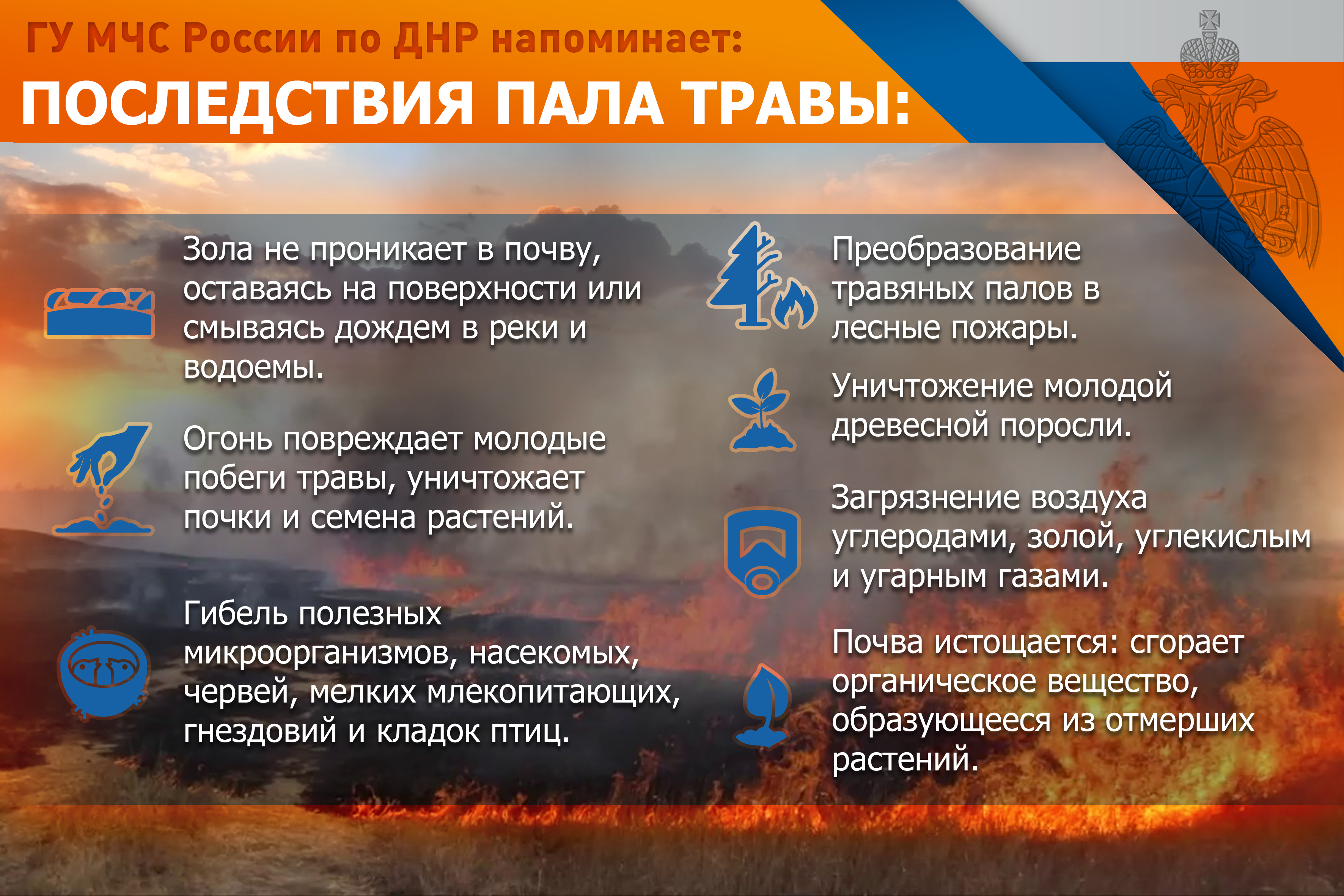 Последствия пала травы.
