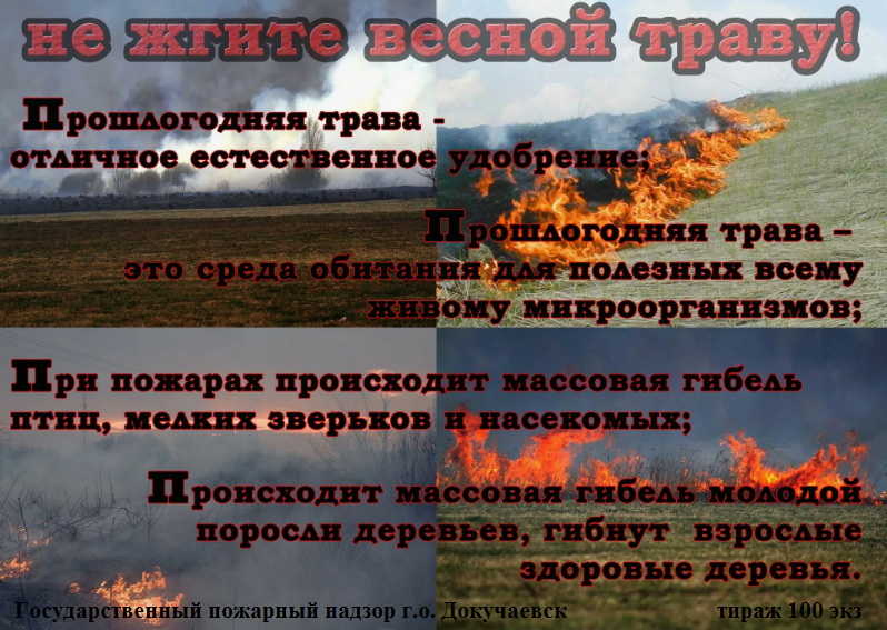 Не жгите весной траву.