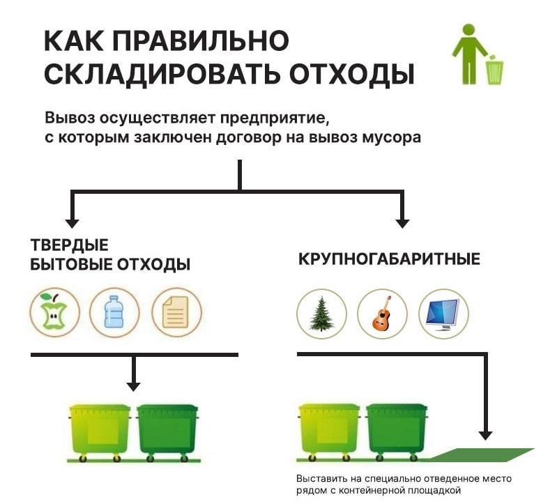 Как правильно и без нарушений избавиться от хвойных деревьев после праздников.