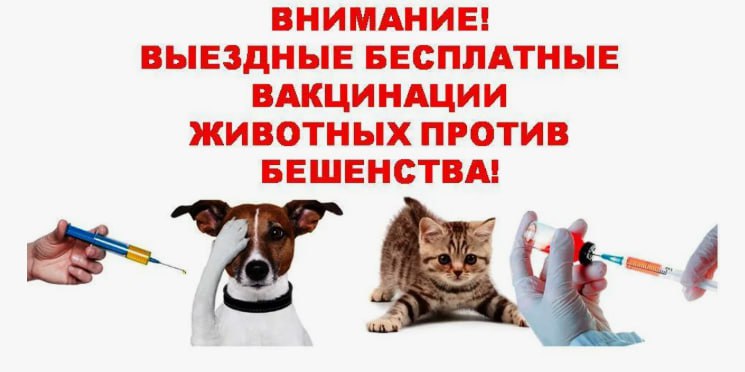 ⚡️Администрация городского округа Докучаевск информирует.