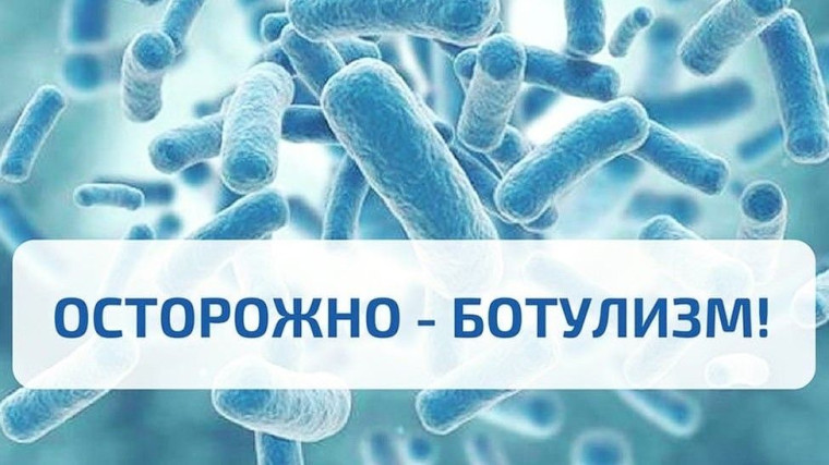«Профилактика ботулизма». «Профилактика ботулизма».