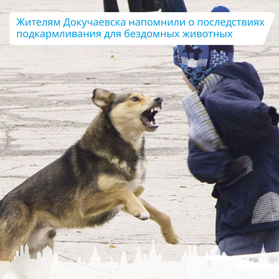 Жителям Докучаевска напомнили о последствиях подкармливания для бездомных животных. Жителям Докучаевска напомнили о последствиях подкармливания для бездомных животных.