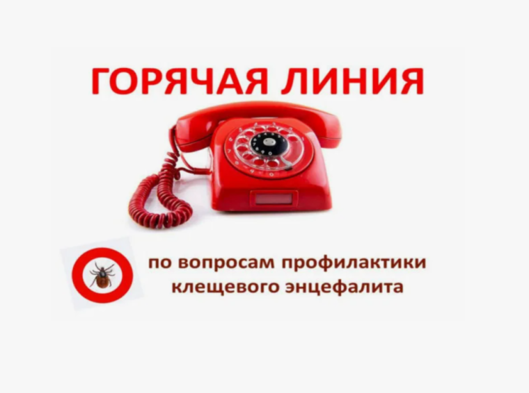 Горячая линия по профилактике клещевого вирусного энцефалита. Горячая линия по профилактике клещевого вирусного энцефалита.