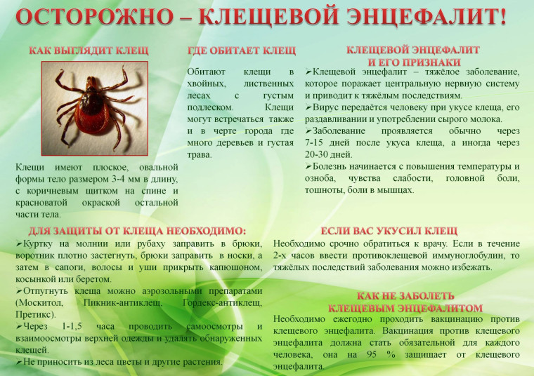 Осторожно клещевой энцефалит!. Осторожно клещевой энцефалит!.